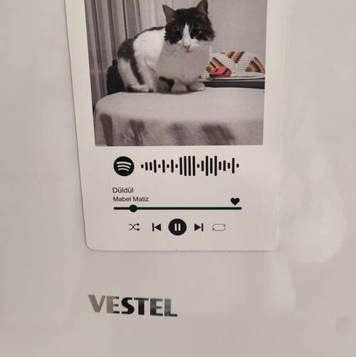 Album