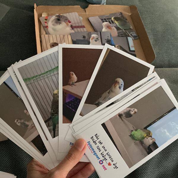 Yorum fotoğraf