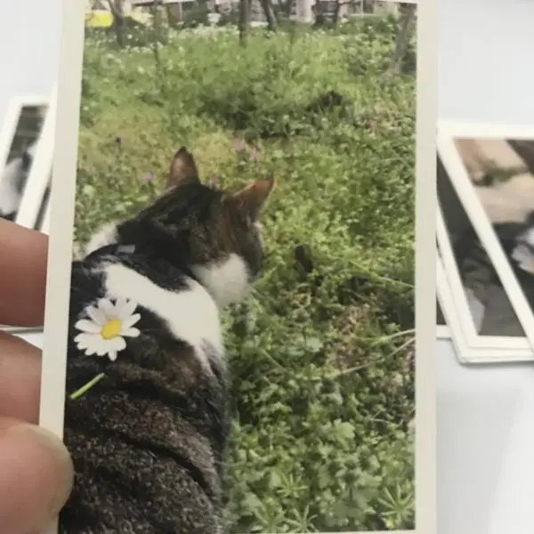 Yorum fotoğraf