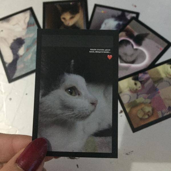 Yorum fotoğraf