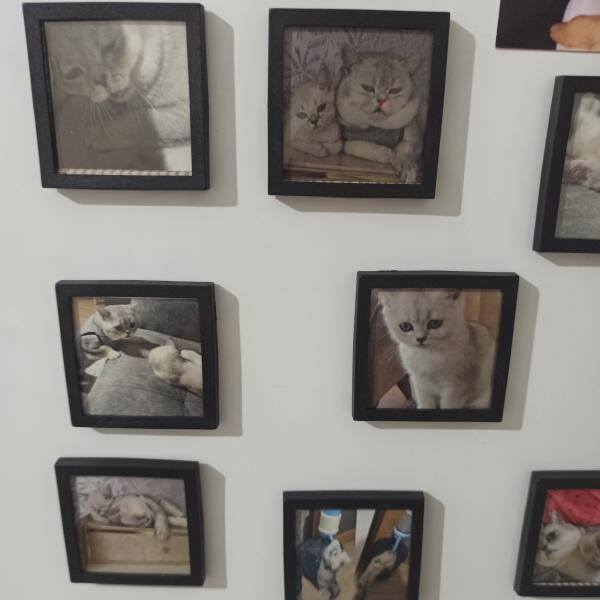 Yorum fotoğraf