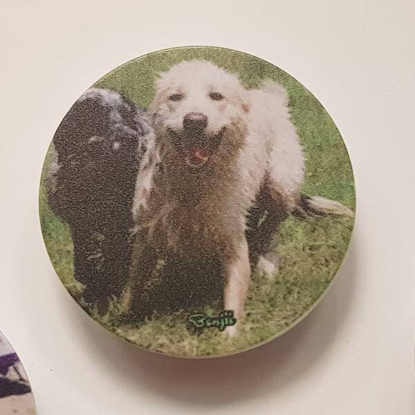 Yorum fotoğraf