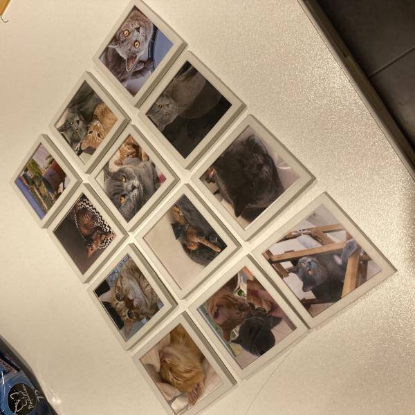 Yorum fotoğraf