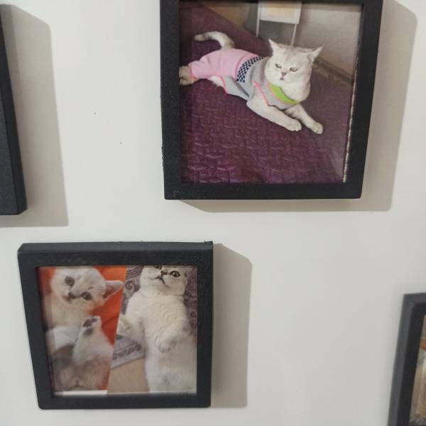 Yorum fotoğraf